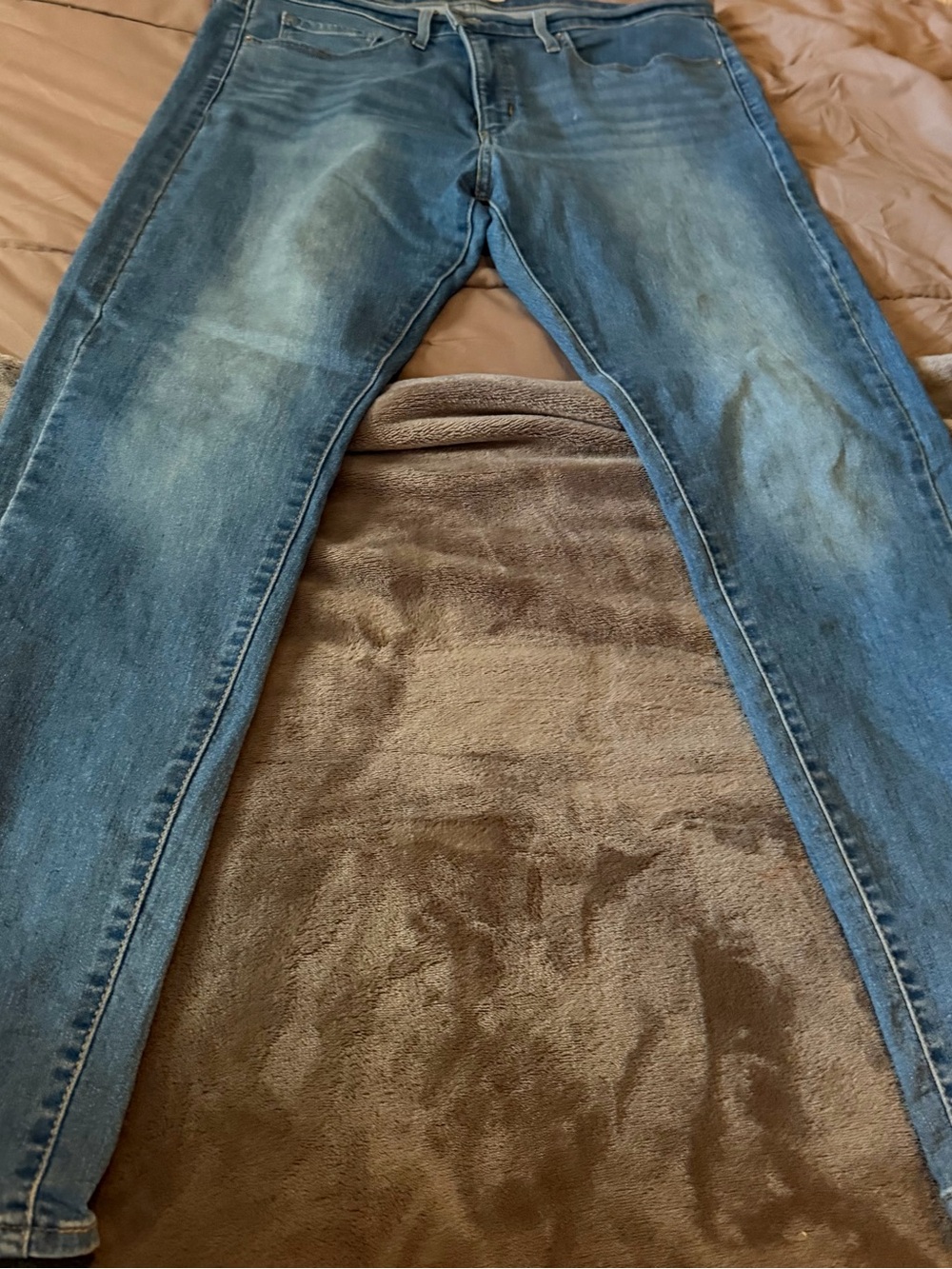 Levi's Women's Straight Leg Jeans in Light Blue Wash